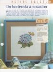 54 - un hortensia  encadrer